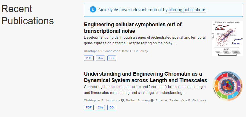 Old Academic template view of publications