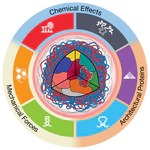 Understanding and Engineering Chromatin as a Dynamical System across Length and Timescales